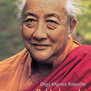 Poklad v srdci probuzených - Dilgo Khjence Rinpočhe