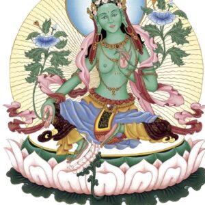 Zakusit esenci tantry - Rob Preece