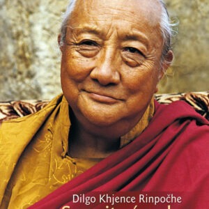 Soucitné srdce - Dilgo Khjence Rinpočhe