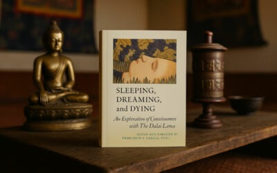 Zážitky blízké smrti a buddhistická nauka