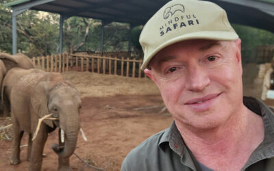 David Michie: Kdo miluje kočky, má blízko k buddhismu